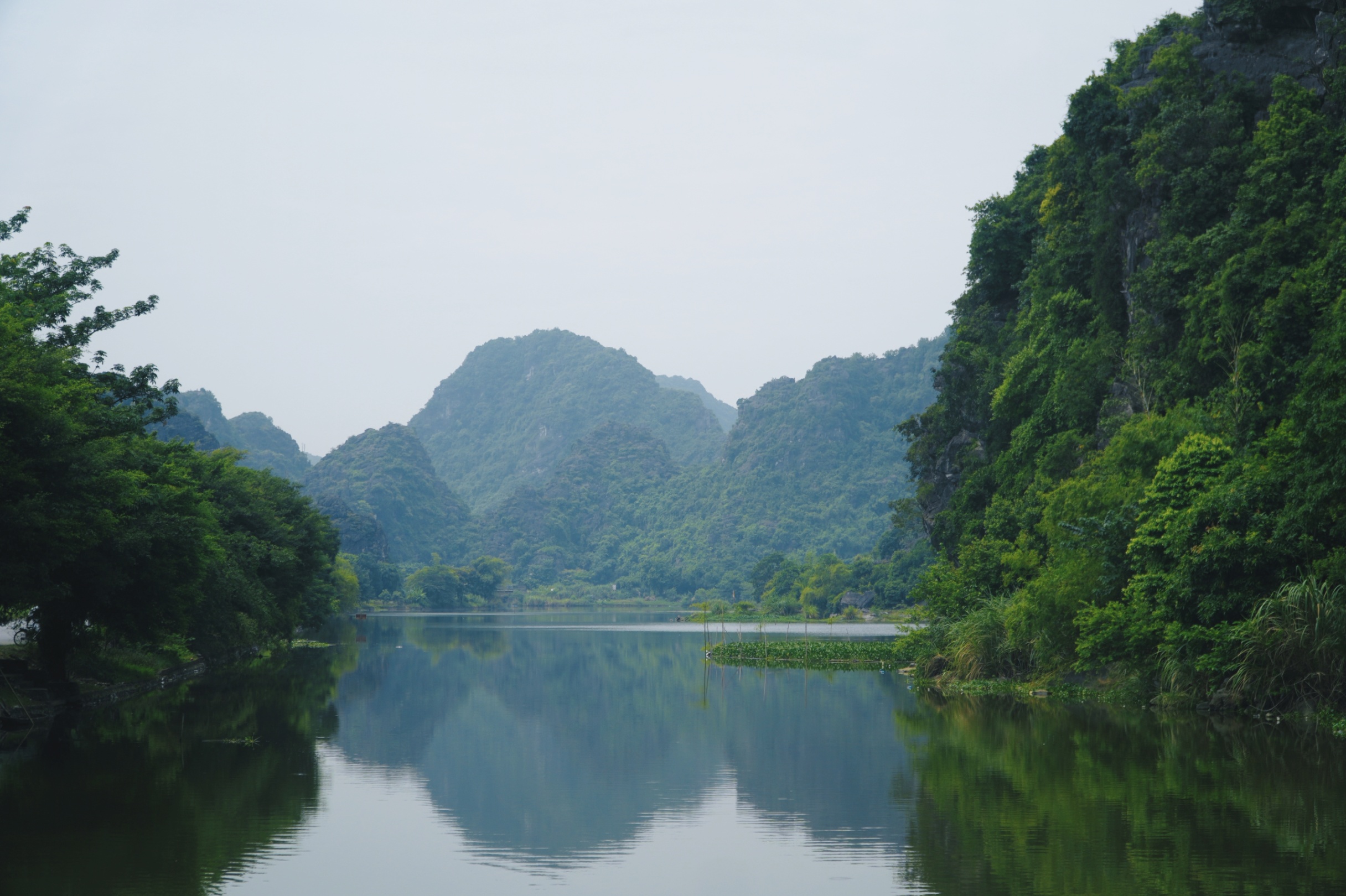 越南 photograph 3