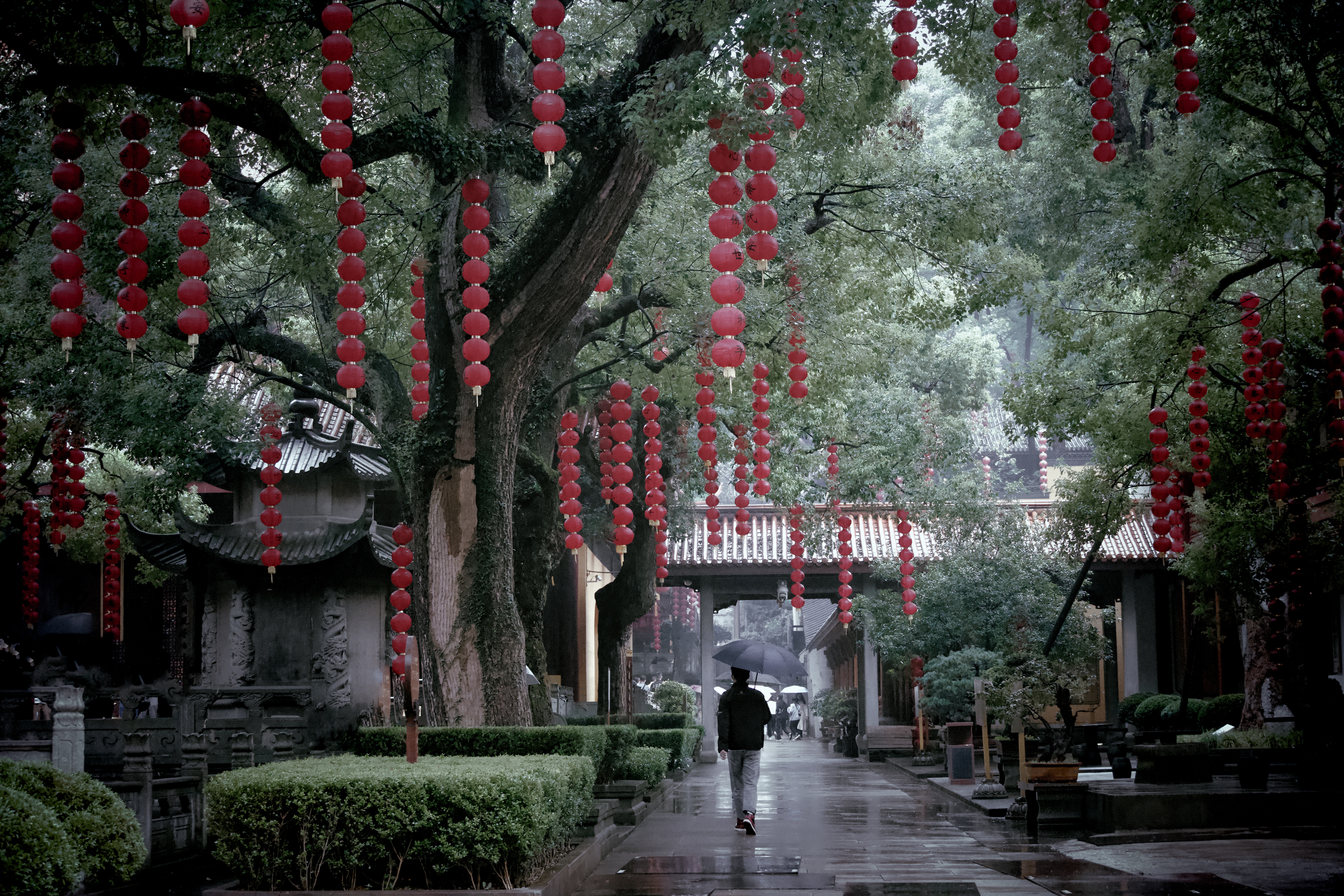 雨中的古道