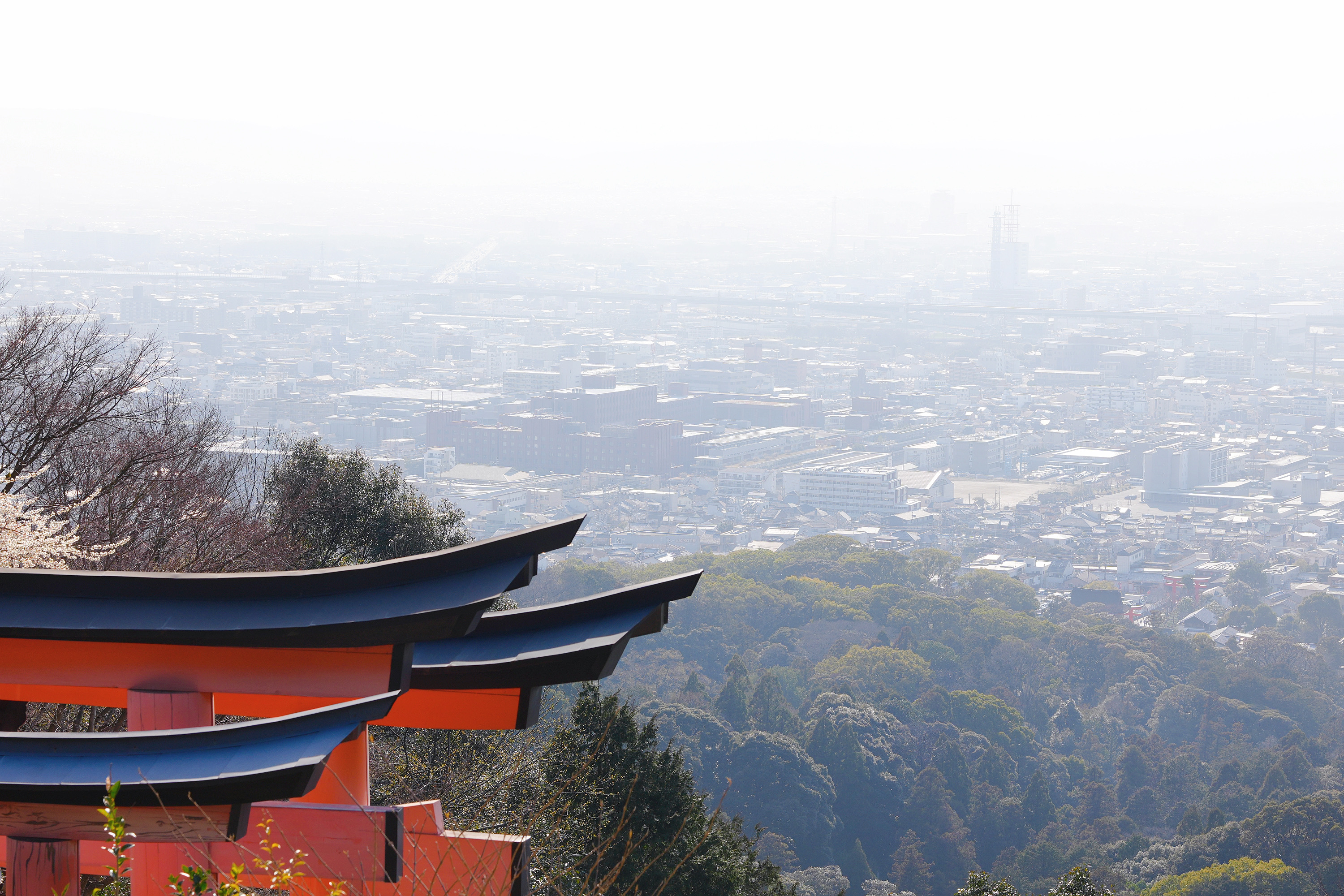 京都秋色：一场静谧的时光之旅
