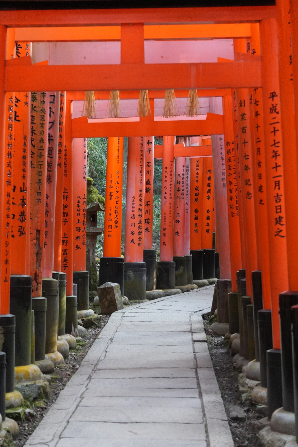 赤色漫步