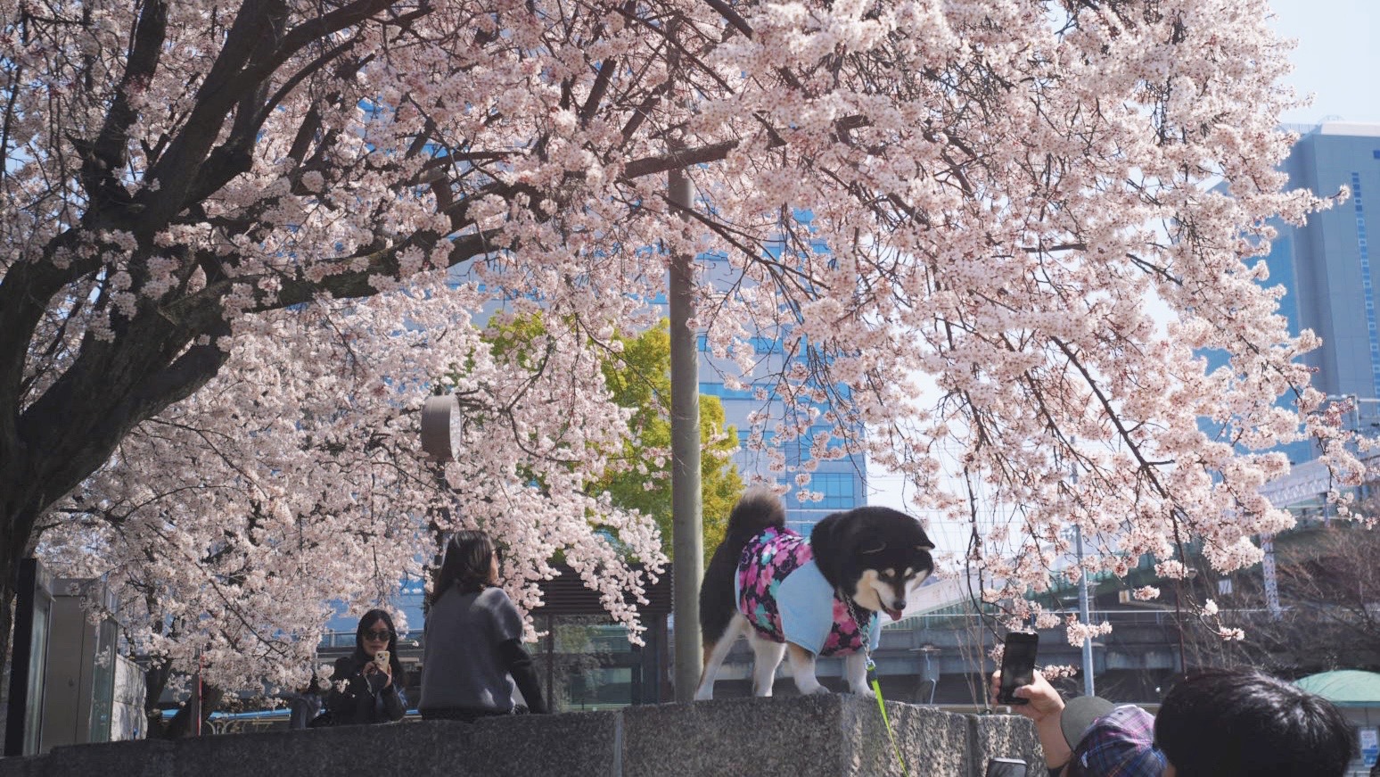 城市拾光
