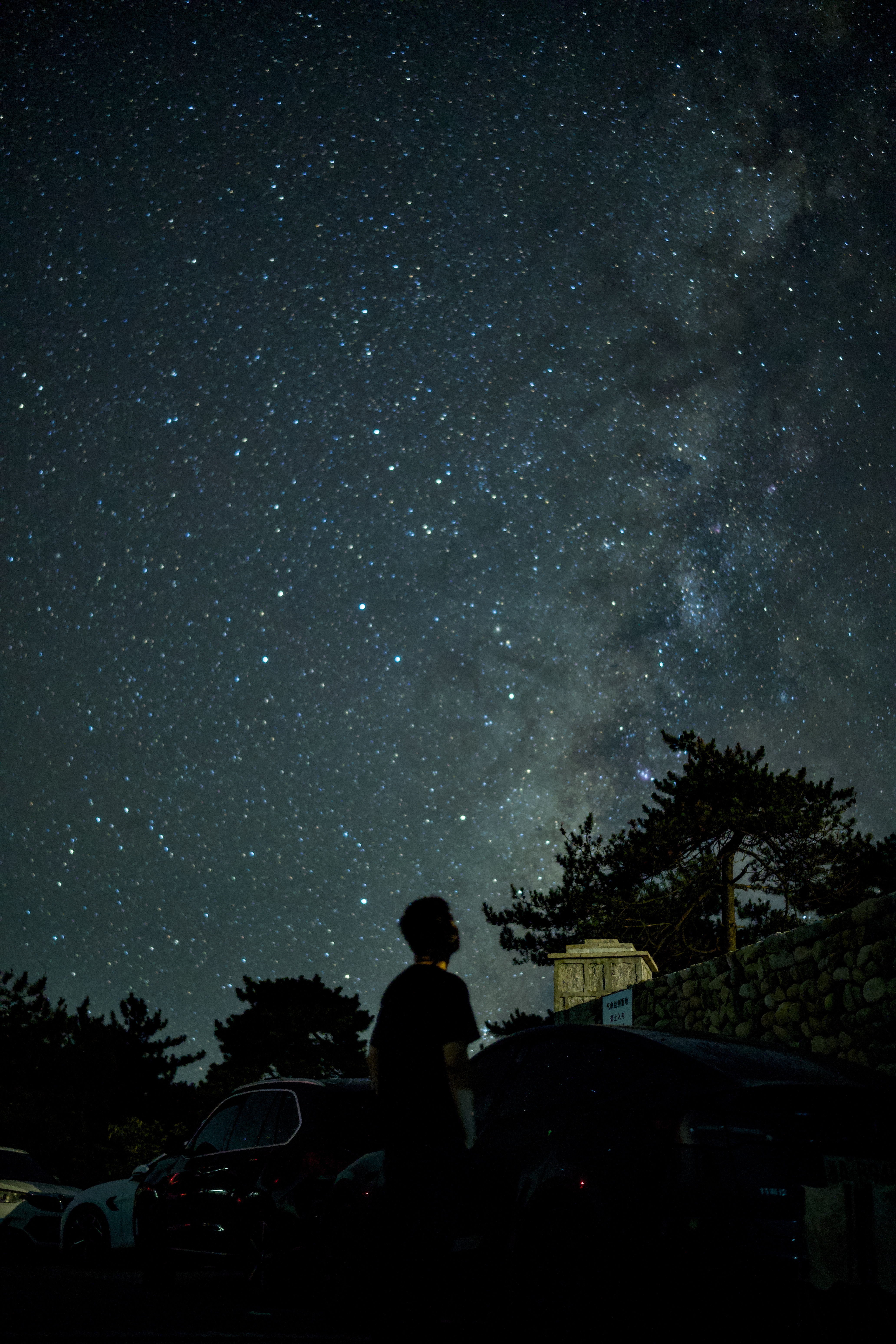 星夜守望者