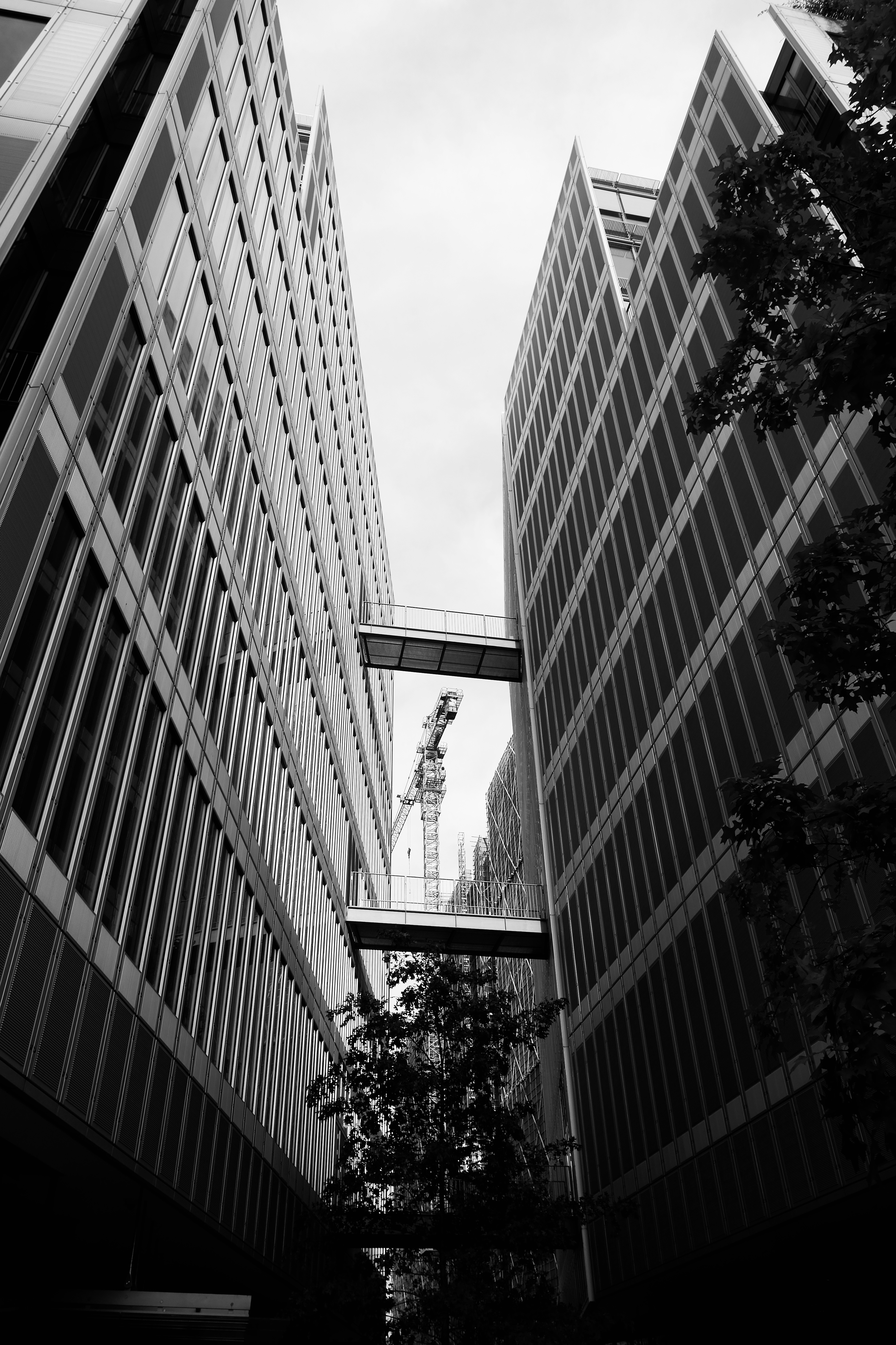 城市脉络