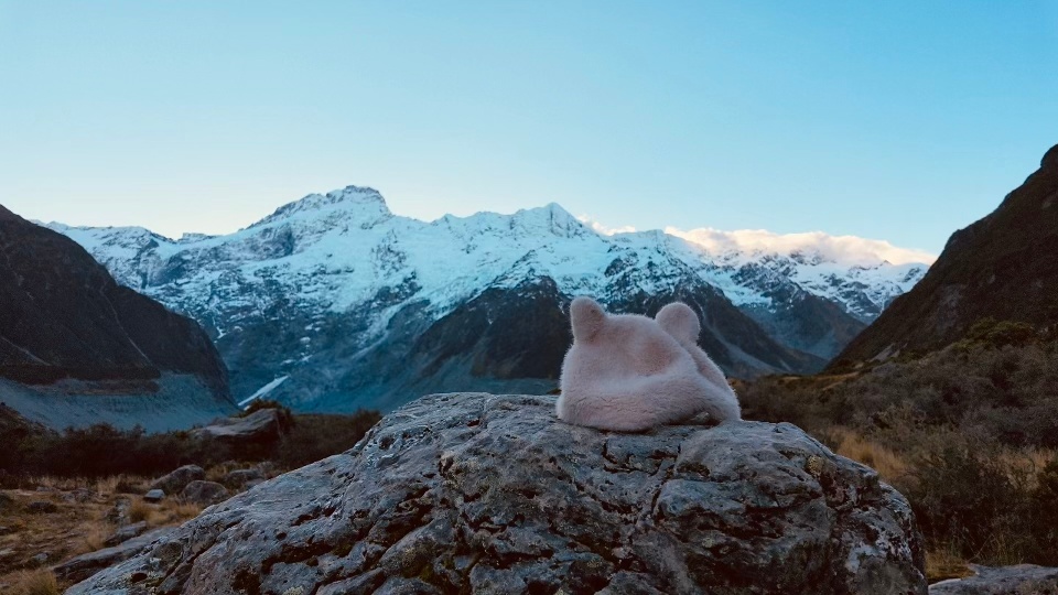 雪山的守护者