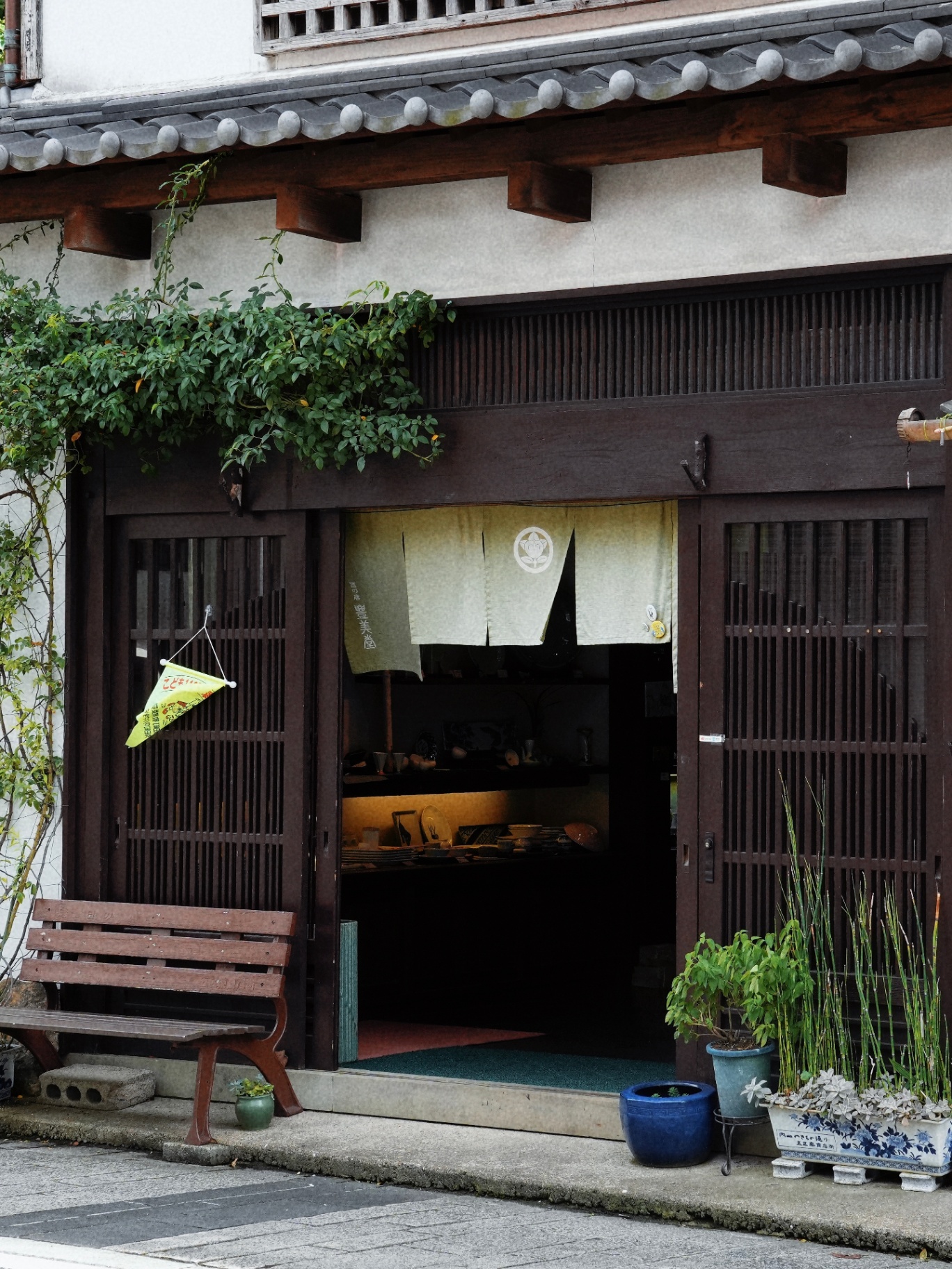 静谧的绿意角落