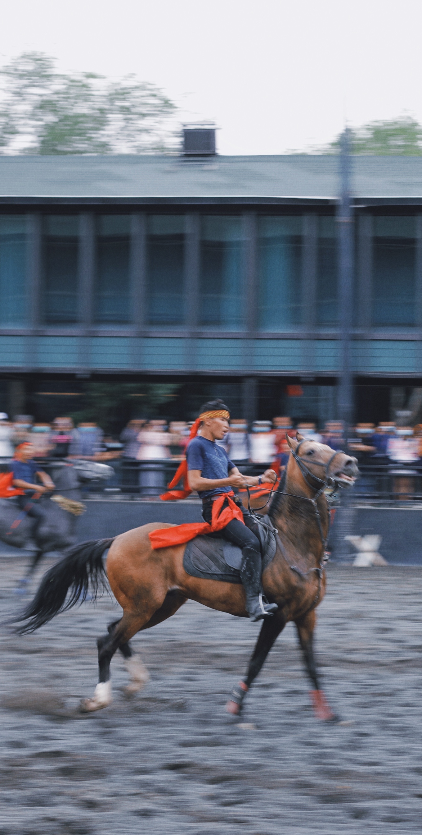 风驰骋