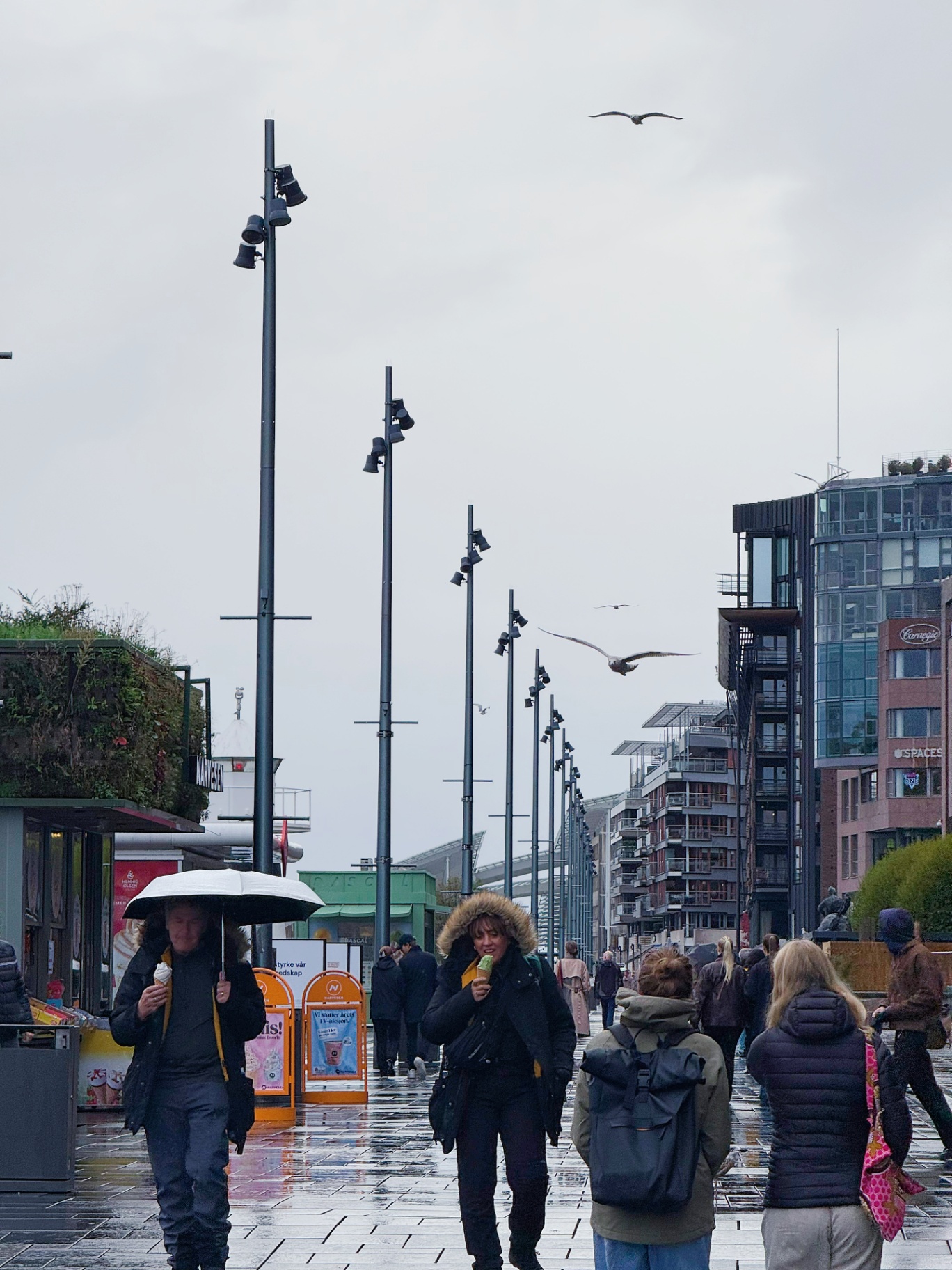 雨中漫步，城市低语