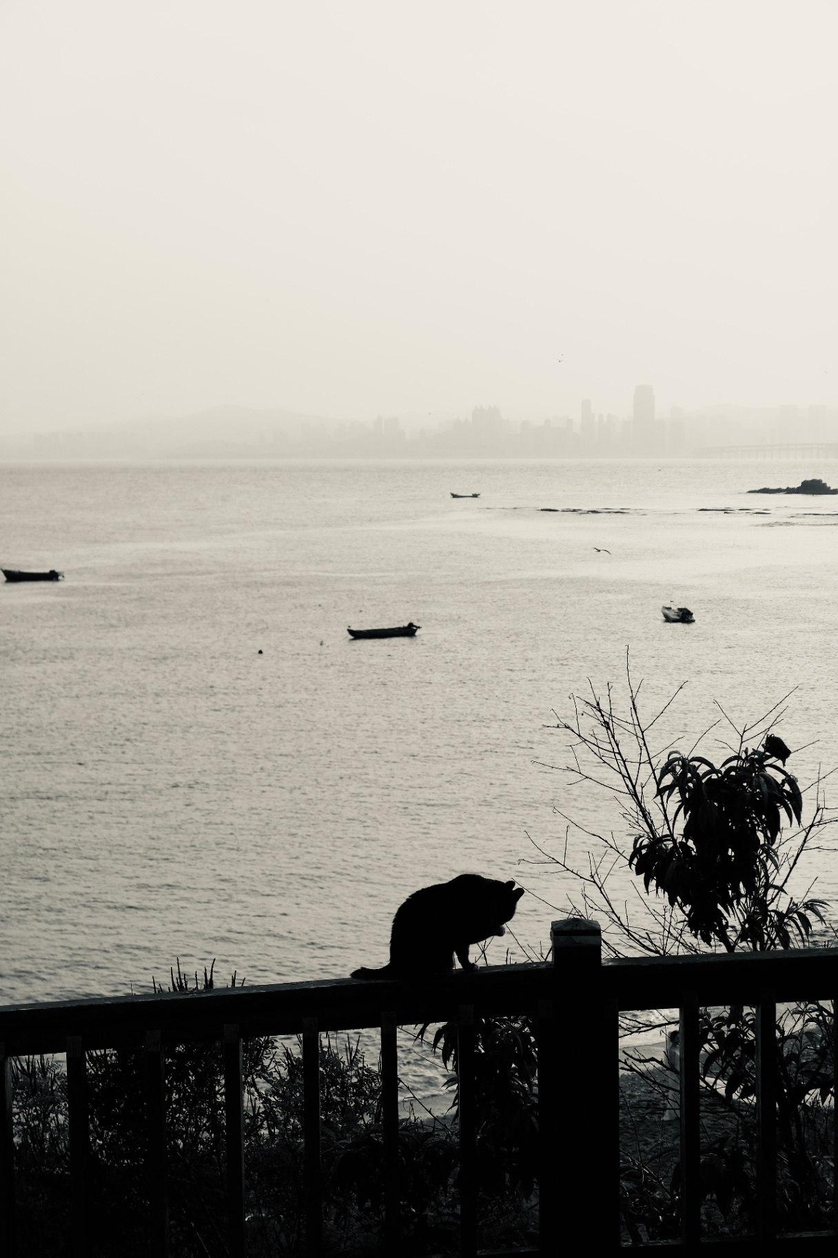 海隅静坐