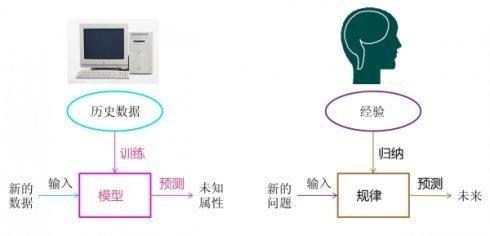 机器学习和人类学习的过程对比